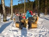 Bild anzeigen